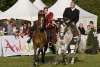 Feria Andaluza paarden